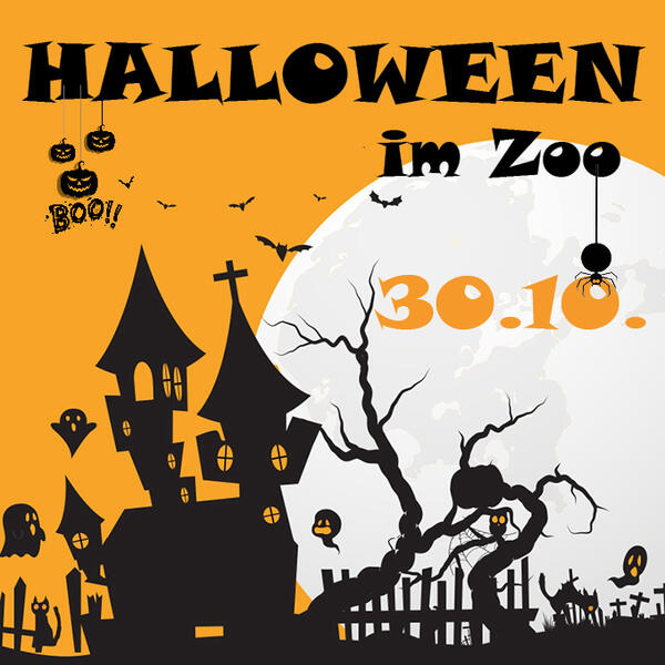 Der Zoo Aschersleben feiert seine grosse Halloween-Party. 